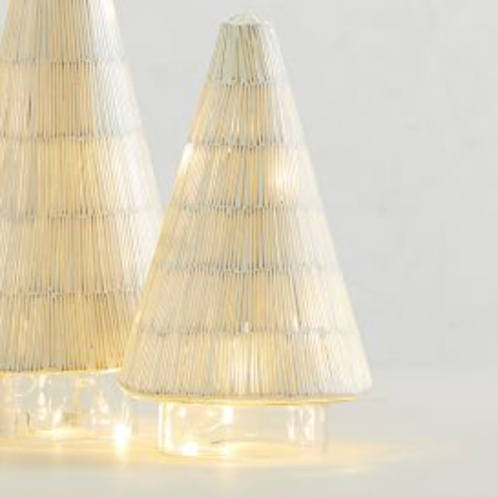 Pottery Barn Silver tree decor, add lights! New
